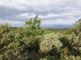dscf1816