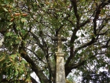 dscf1820