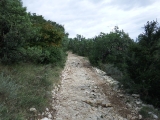 dscf1831
