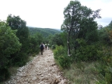 dscf1833