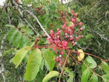 dscf1840