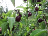 dscf1844