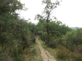 dscf1845