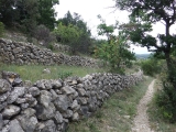 dscf1847