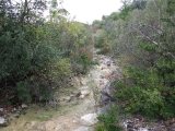 dscf1855