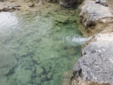dscf1857