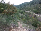dscf1860