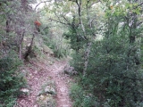 dscf1862