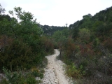 dscf1870