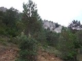 dscf1872
