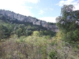 dscf1874