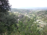 dscf1881
