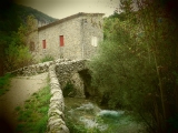 dscf2378