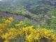 DSCF1879.JPG