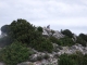 DSCF1924.JPG