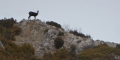 Randonnée Serre de Créma depuis Chaudebonne