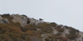 Randonnée Serre de Créma depuis Chaudebonne