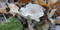 P1090150