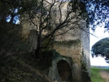 P1150428