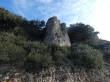 P1150505