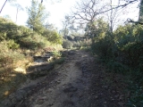 P1150545