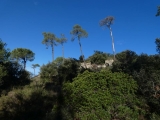 P1150548