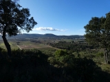 P1150566