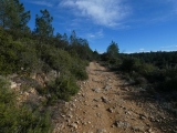P1150590