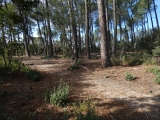 P1150602