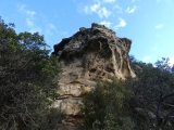 P1150652