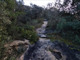 P1150668