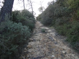 P1150676