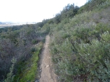 P1150690