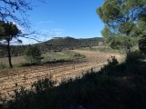 P1150701