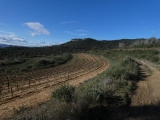 P1150704