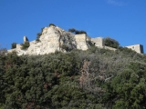 P1150734