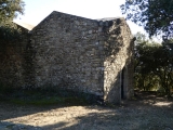 P1150736