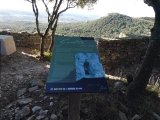 P1150776