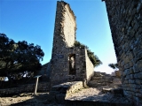 P1150796