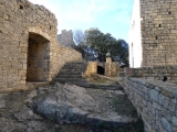 P1150868