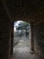 P1150881