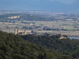 P1150899