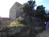P1150901