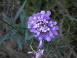 P1150913