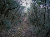 P1150928