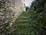 P1150988