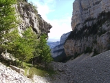 DIGITAL CAMERA
