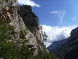 DIGITAL CAMERA