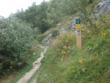 dsc07161