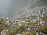 dsc07305